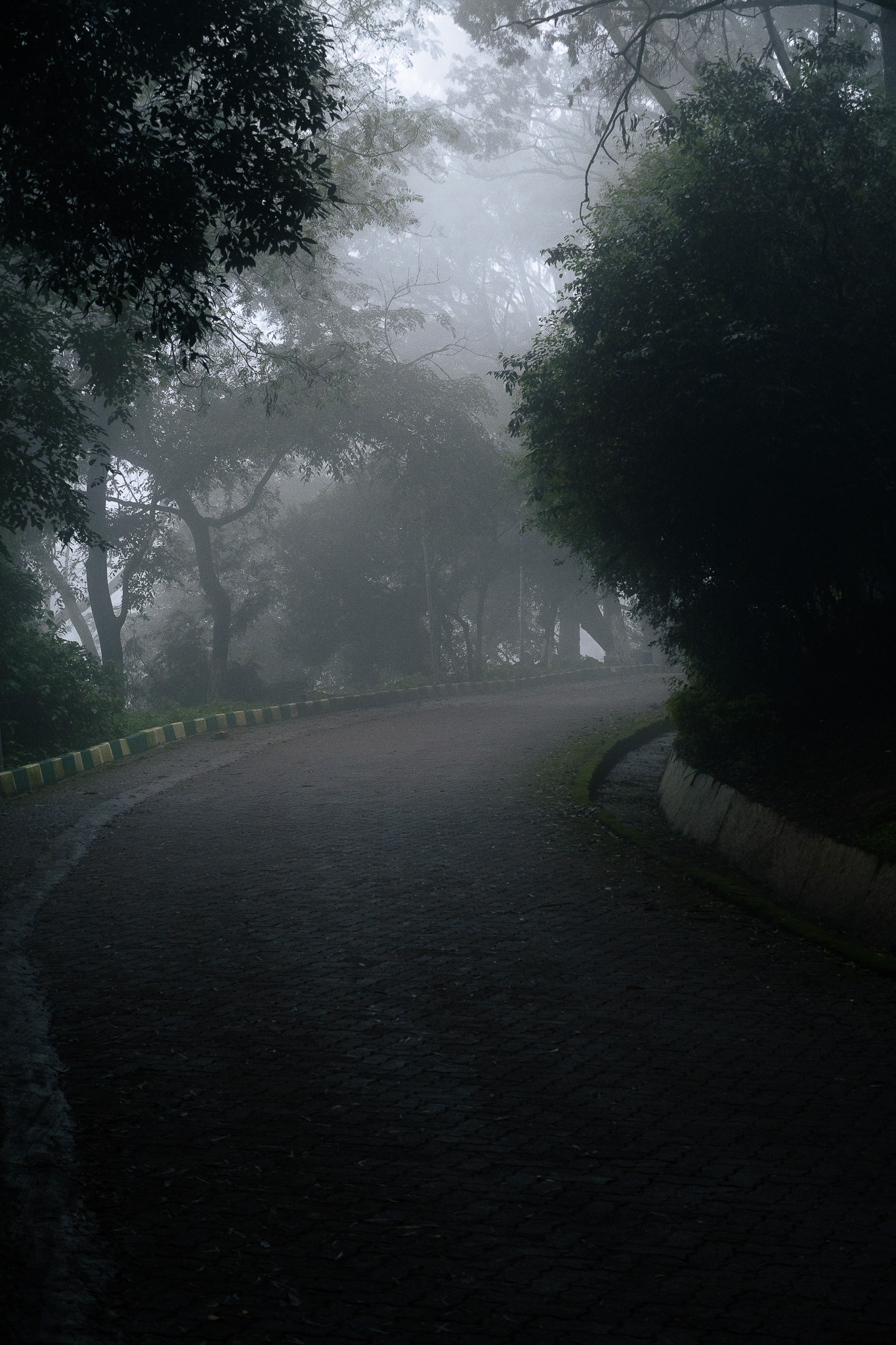Foggy road, and a trek to the top — Nandhi Hills
